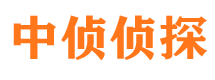 武川侦探